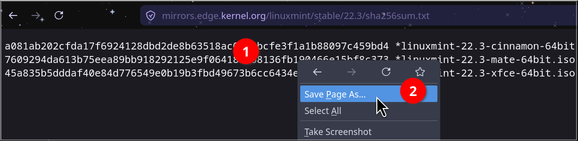 The save as window dialogue after right-clicking the SHA256sum text