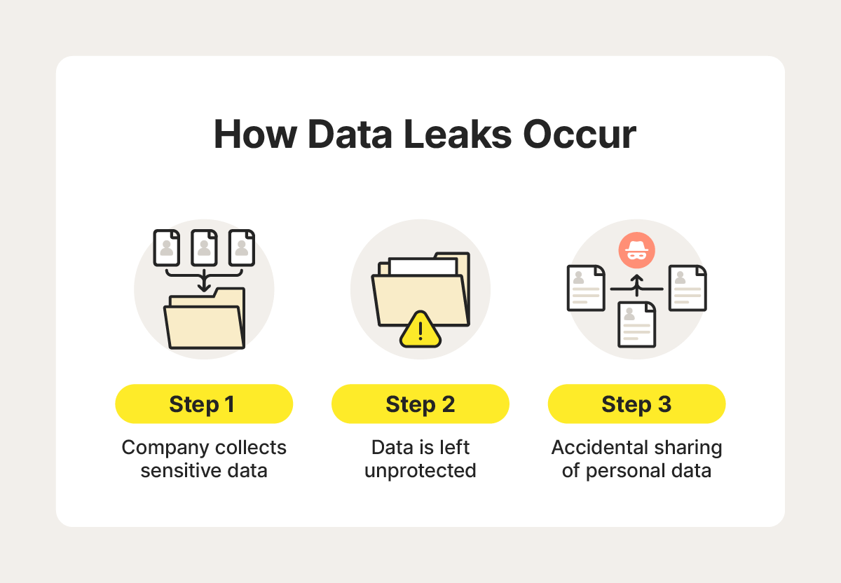 A visual explanation of how data leaks may occur by Norton.